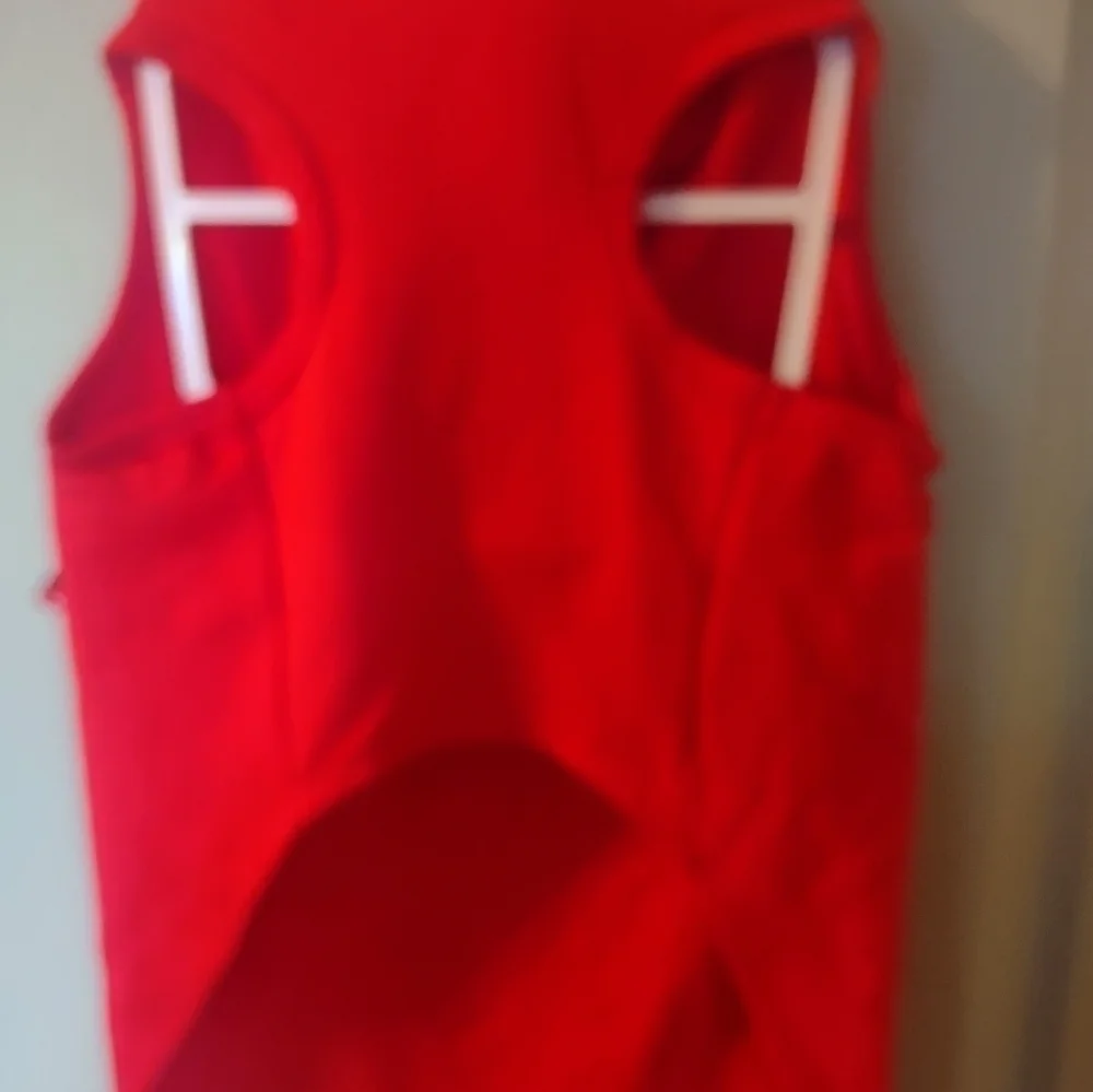 NWT XL dog Christmas costume outfit